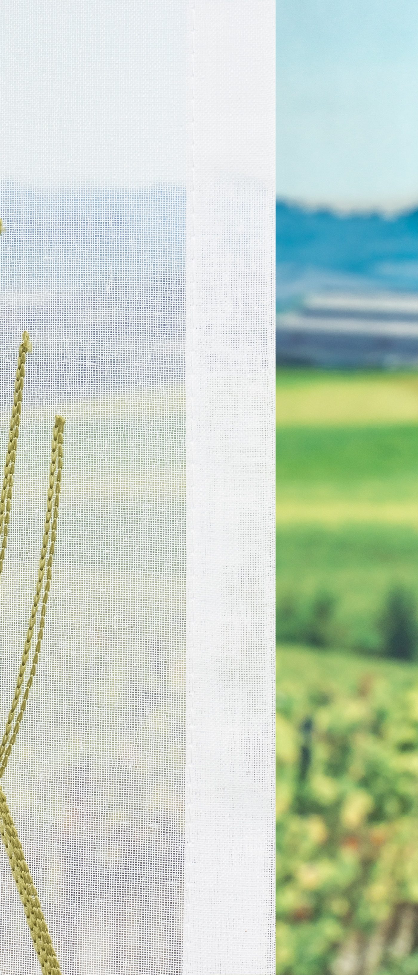 LYSEL® Vorhang Pflanzenreich (1 St), transparent, HxB 245x140cm