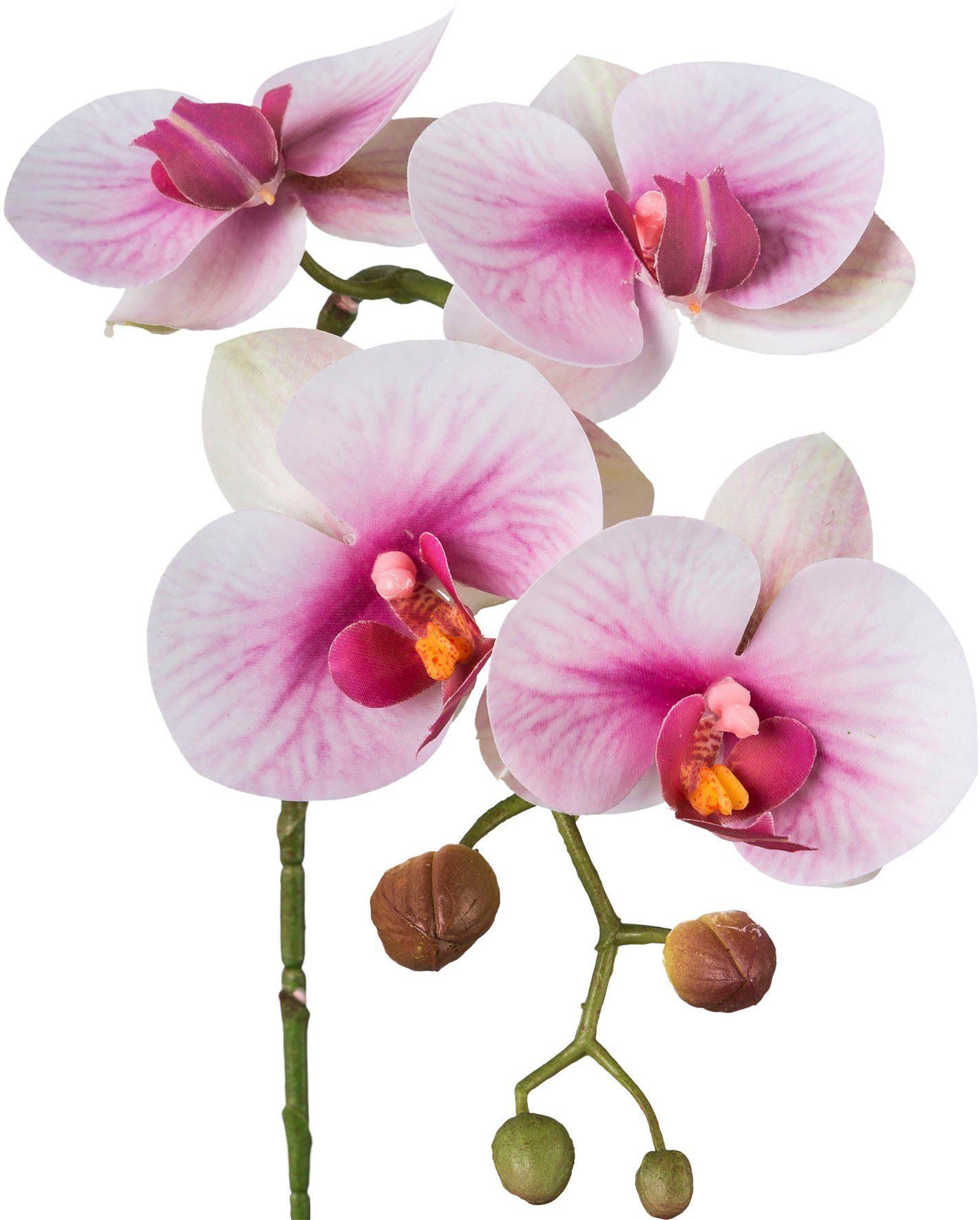 Creativ green Kunstblume "Phalaenopsis 3D-print" mit Real-Touch-Blüten günstig online kaufen