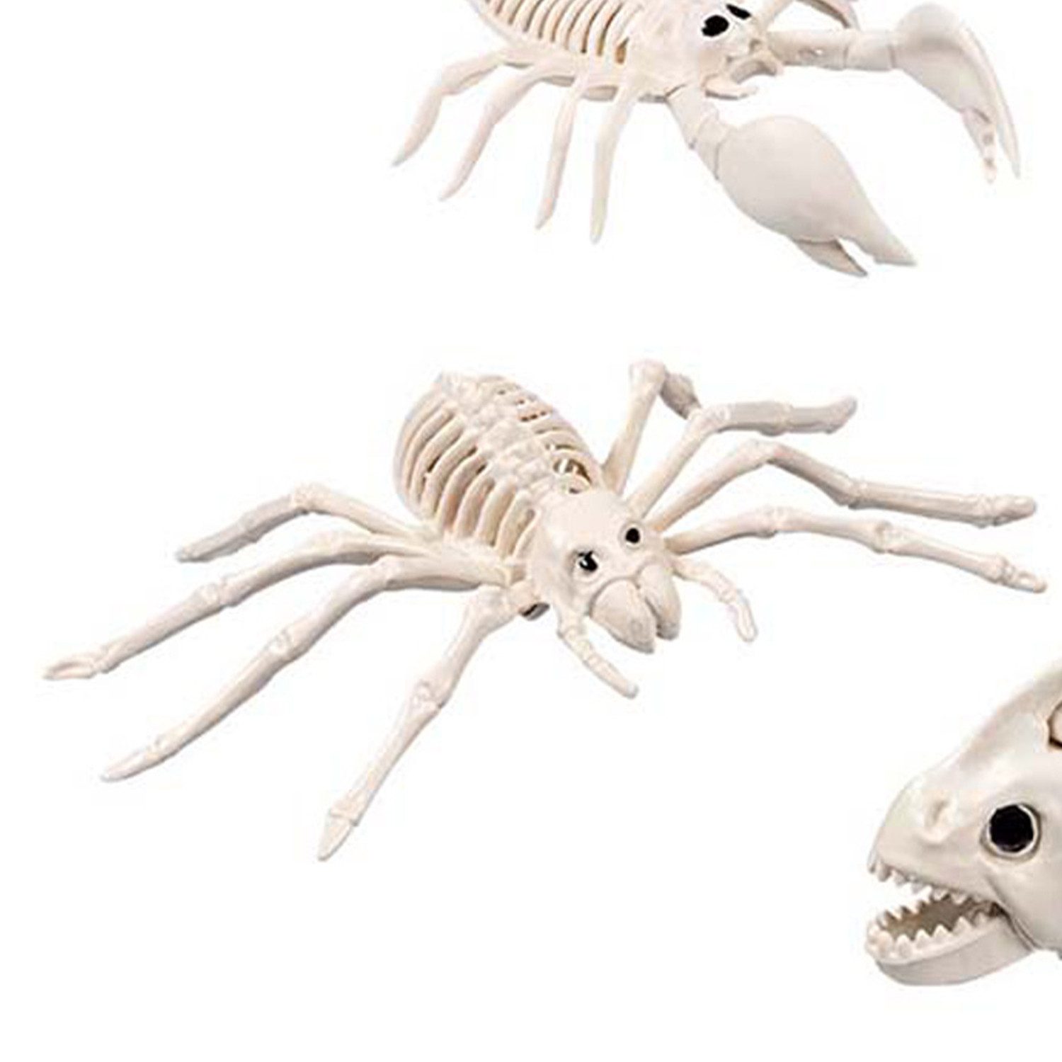 Boland Dekoobjekt Skelett Tiere 5-fach sortiert, Beige - Halloween – Bild 5 von 5