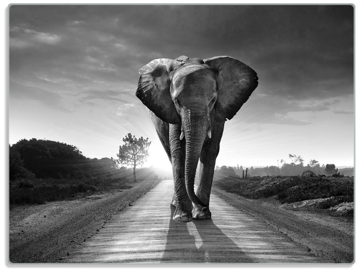 Wallario Schneidebrett Elefant bei Sonnenaufgang in Afrika schwarzweiß, ESG-Sicherheitsglas, (inkl. rutschfester Gummifüße 4mm, 1-St), 30x40cm