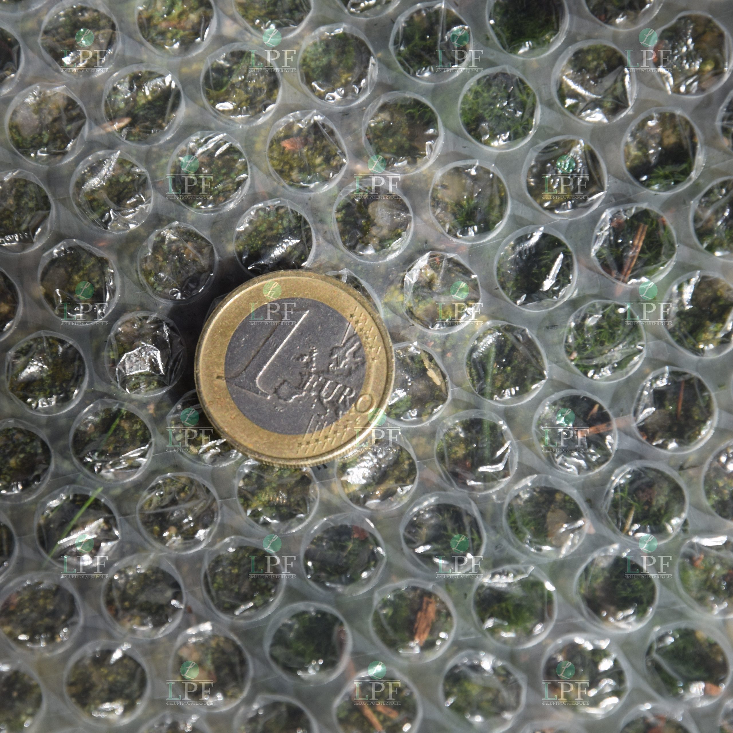 LPF dieLUFTPOLSTERFOLIE Schutzfolie Luftpolsterfolie Breite 30cm x Länge 100m Noppenfolie Verpackungsfolie