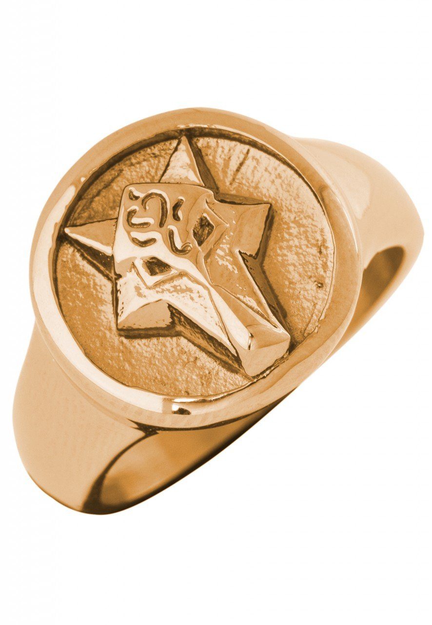 Siegelring Ferus Ring Gold EU 57 - UK P - US 8