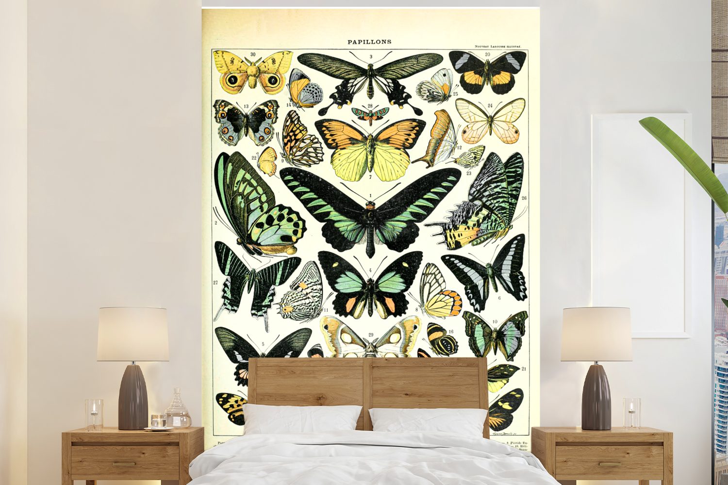 MuchoWow Fototapete Tiere - Schmetterlinge - Grün, Matt, bedruckt, (3 St), Montagefertig Vinyl Tapete für Wohnzimmer, Wandtapete