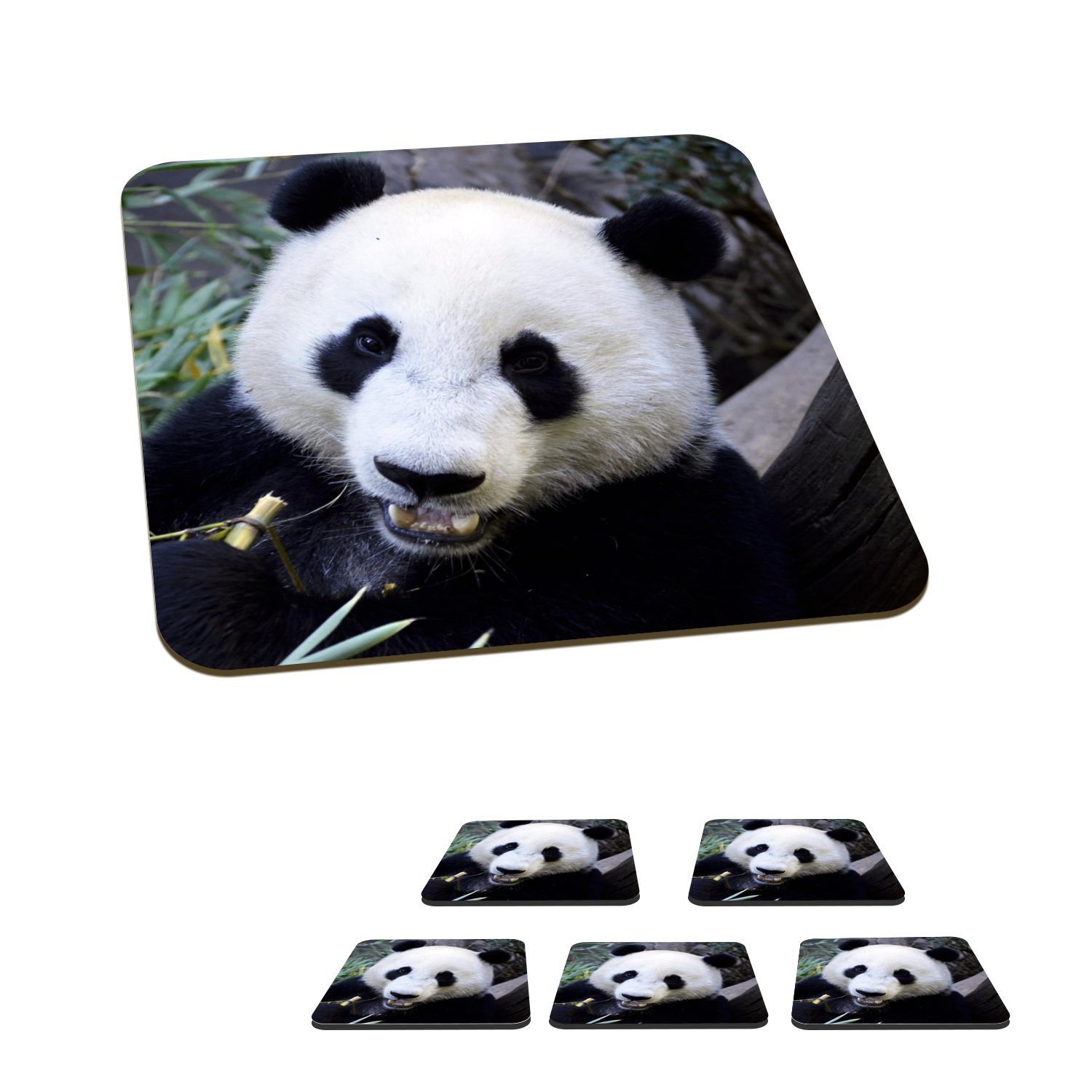 MuchoWow Glasuntersetzer Panda - Tier - Blätter, Zubehör für Gläser, 6-tlg., Glasuntersetzer, Tischuntersetzer, Korkuntersetzer, Untersetzer, Tasse