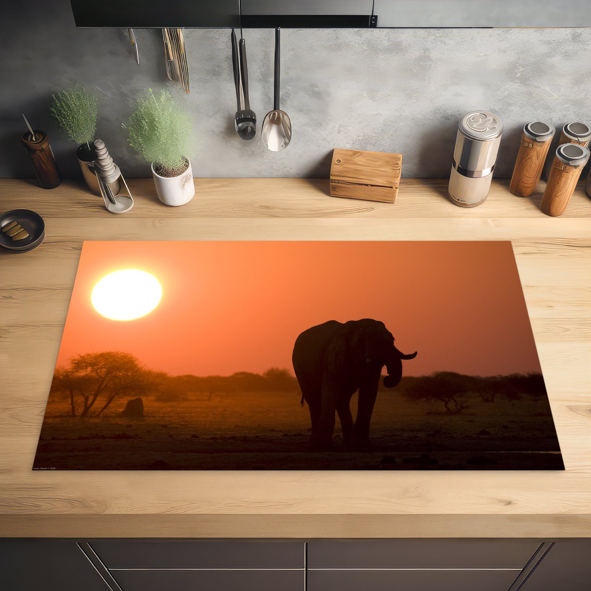 im küche Sonnenuntergang Herdblende-/Abdeckplatte (1 MuchoWow Vinyl, Nxai Arbeitsplatte bei cm, Elefant Pan 83x51 Ceranfeldabdeckung, für National Park, tlg),