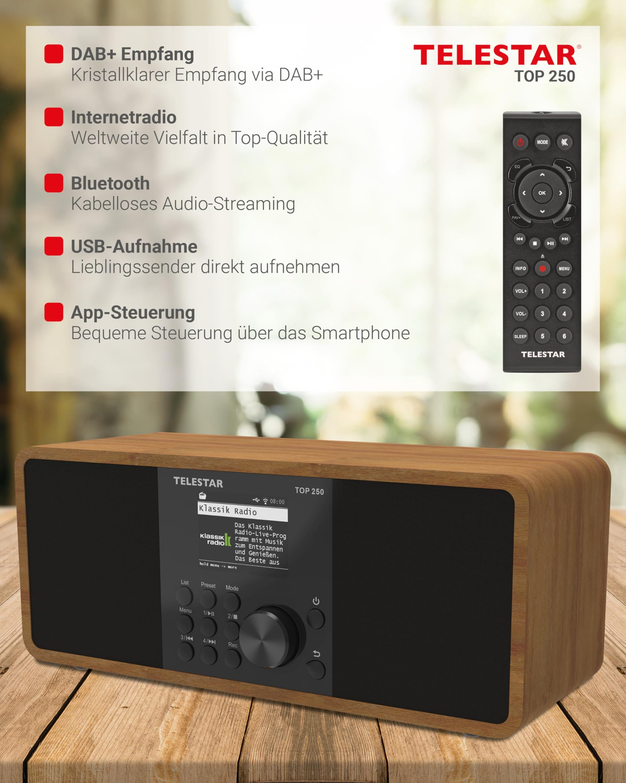 TELESTAR TOP 250 Radio (DAB+ Internetradio schwarz Top 250)