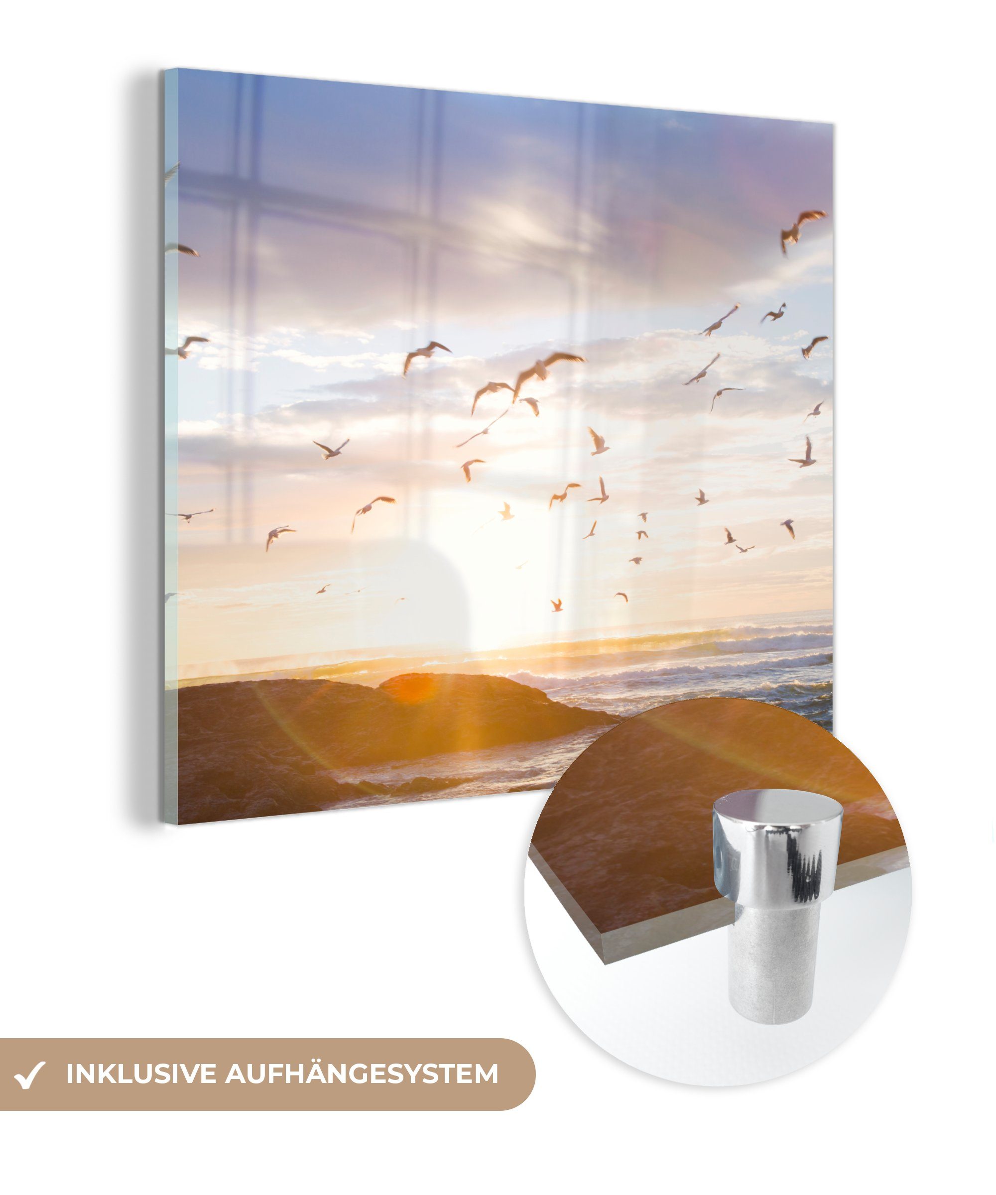 von Bild Ruhiges Wandbild - auf Acrylglasbild Wanddekoration Glasbilder St), Bilder Glas MuchoWow - Vögeln auf bei Glas (1 Sonnenuntergang, - Foto