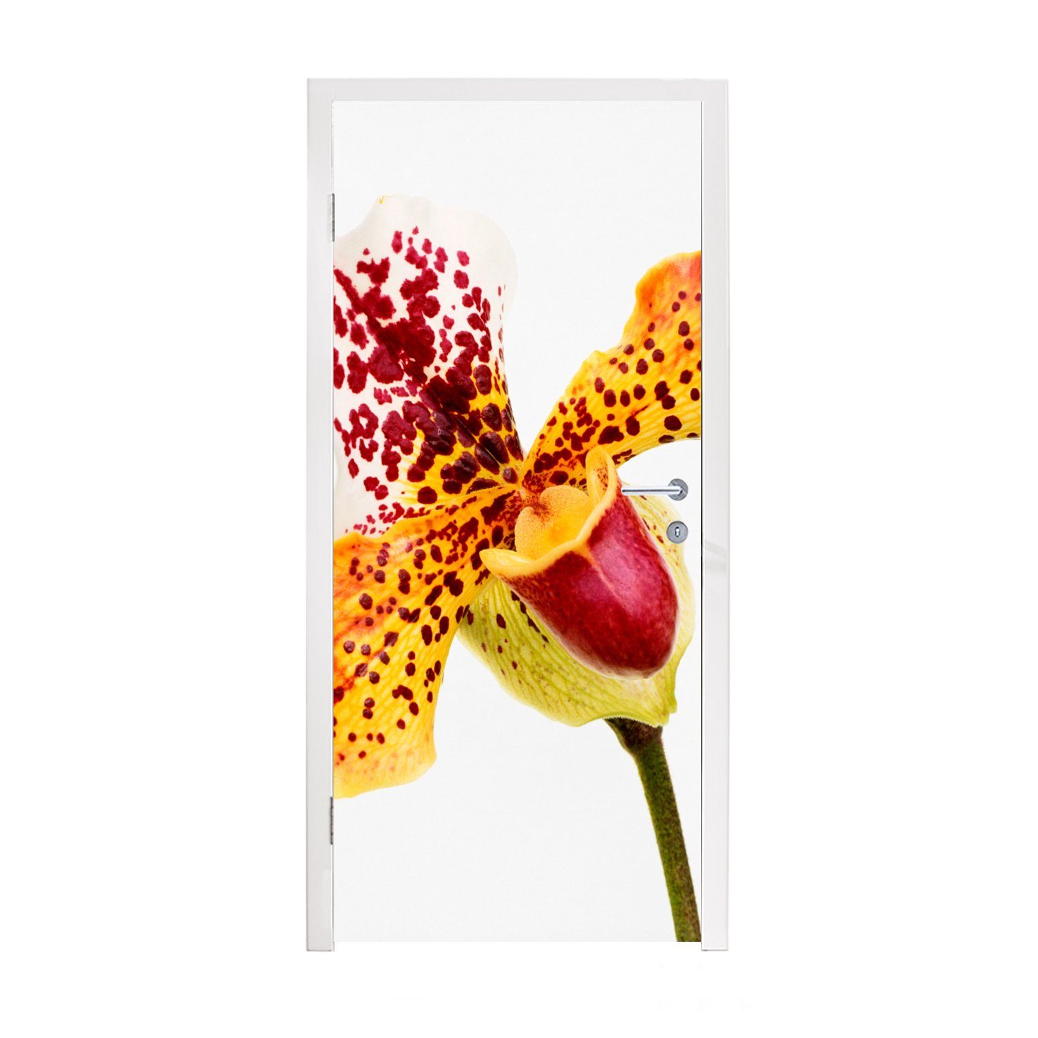 für (1 Türtapete cm St), bedruckt, 75x205 Orchidee, Türaufkleber, Matt, Orange MuchoWow Fototapete Tür,