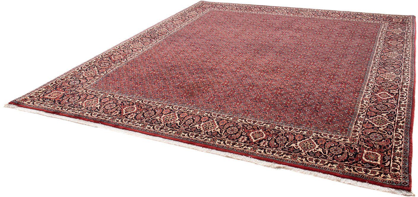 Orientteppich Perser - Bidjar - 288 x 256 cm - dunkelrot, morgenland, rechteckig, Höhe: 15 mm, Wohnzimmer, Handgeknüpft, Einzelstück mit Zertifikat
