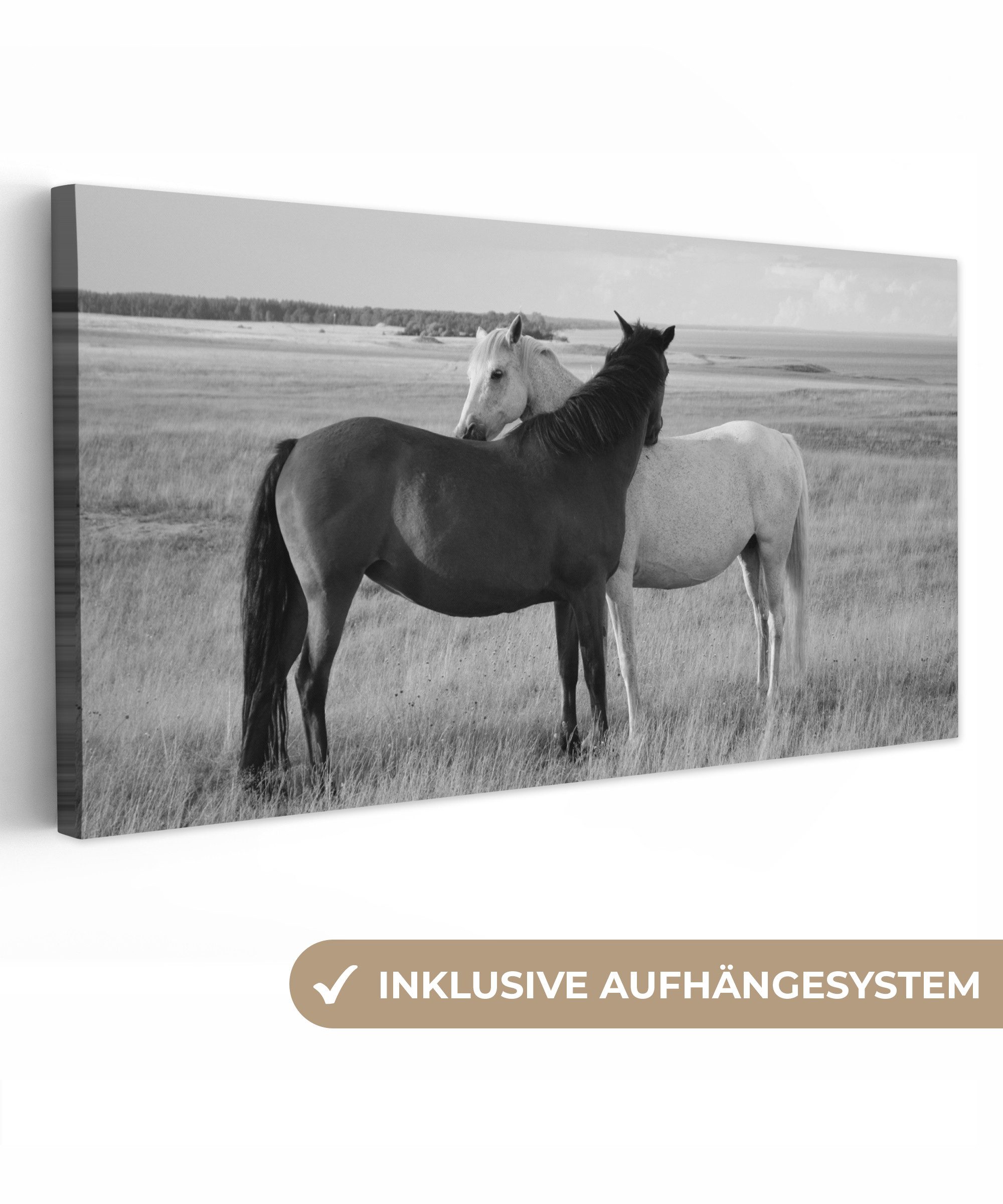 OneMillionCanvasses® Leinwandbild Panorama Pferde - Tiere - Porträt - Schwarz-Weiß - Landleben, Fotodruck (1 St), Wandbild, Deko Schlafzimmer Wohnzimmer Flur 40x20 cm