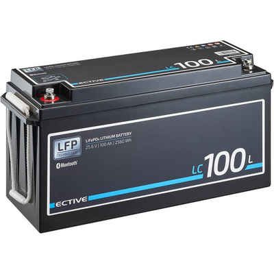 ECTIVE ECTIVE 24V 100Ah LiFePo4 Solar Batterie Lithium BMS Wohnmobil Camper Batterie, (24 V V)