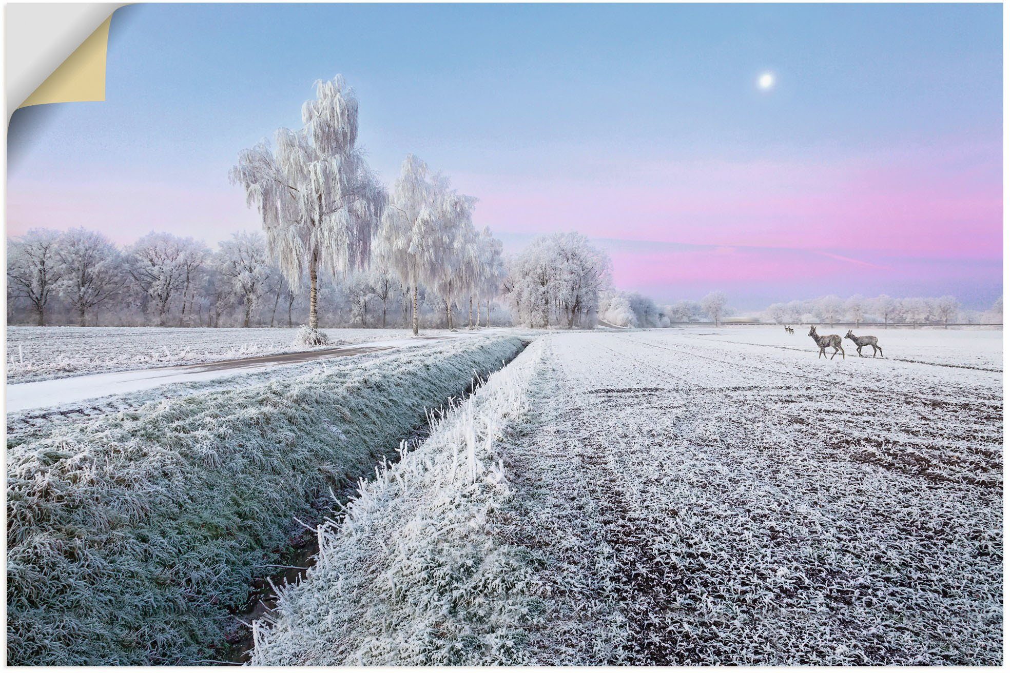 Artland Wandbild Ein kurzweiliges Wintermärchen, Vier Jahreszeiten Bilder (1  St), als Alubild, Leinwandbild, Wandaufkleber oder Poster in versch. Größen