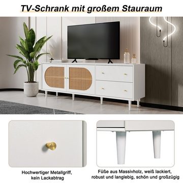 WISHDOR TV-Schrank Fernsehtisch, TV-Board (mit 2 Schubladen und 4 Fächern, mit Polyrattan-Geflechten Türen) für Ihre Rattandesign