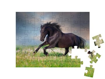 puzzleYOU Puzzle Friesenpferd im Galopp auf frühlingsgrüner Wiese, 48 Puzzleteile, puzzleYOU-Kollektionen Pferde, Friesenpferde