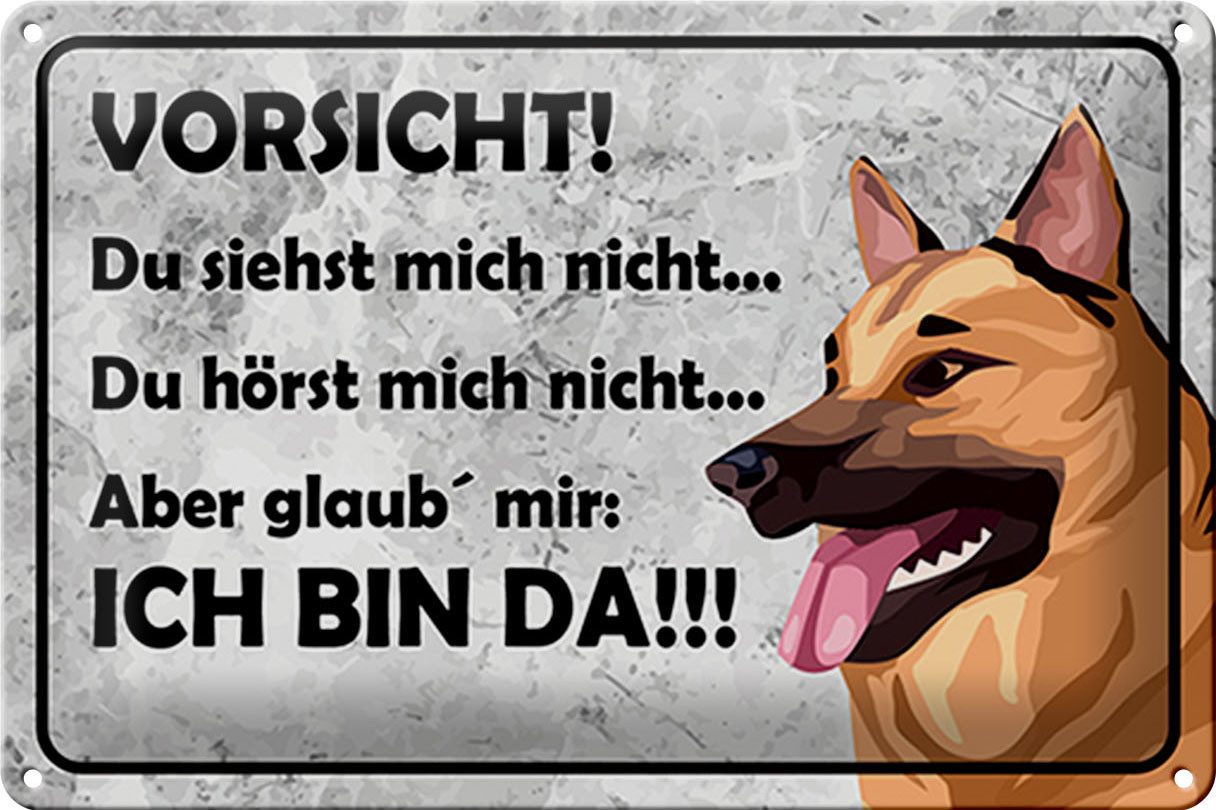 Femer GmbH Metallschild Spruch 30x20cm Vorsicht Hund Du siehst mich