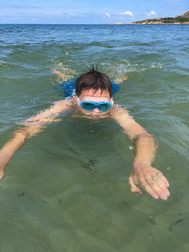 MTS Schwimmbrille Schwimmbrille Bali blau