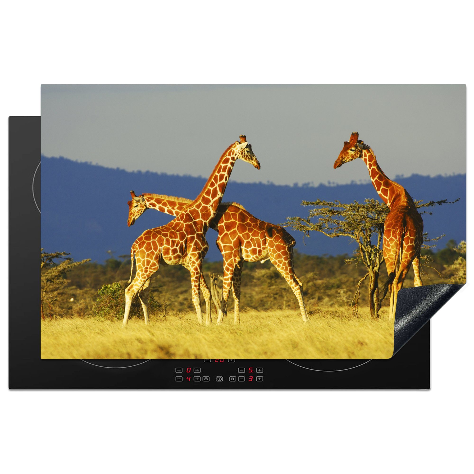 Giraffen in MuchoWow Drei (1 Herdblende-/Abdeckplatte Vinyl, Induktionskochfeld gelben 81x52 einer Schutz Ceranfeldabdeckung die Steppe, küche, tlg), cm, für