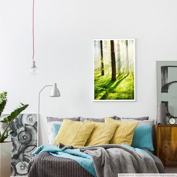Sinus Art Poster 90x60cm Poster Wald mit Sonnenstrahlen