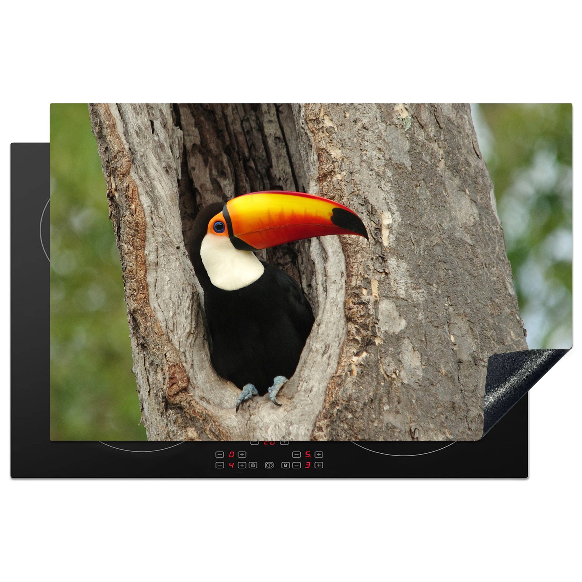 MuchoWow Herdblende-/Abdeckplatte Tukan in einem Baum in Brasilien, Vinyl, (1 tlg), 81x52 cm, Induktionskochfeld Schutz für die küche, Ceranfeldabdeckung