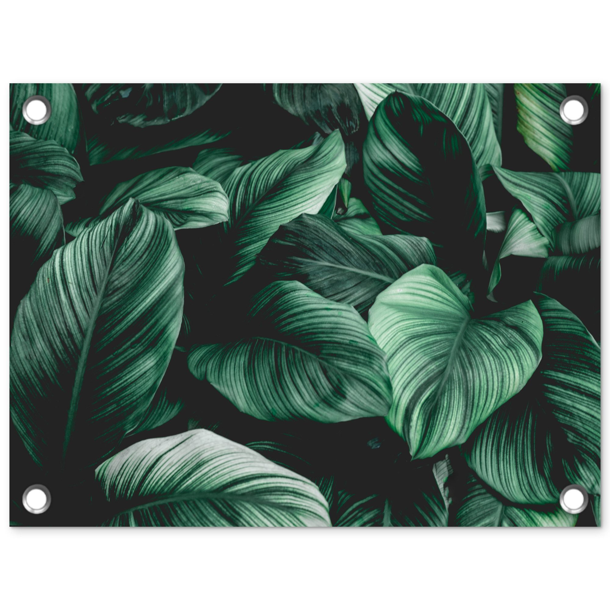 Poster für Garten Dschungel - Blätter - Tropisch - Pflanzen - Natur