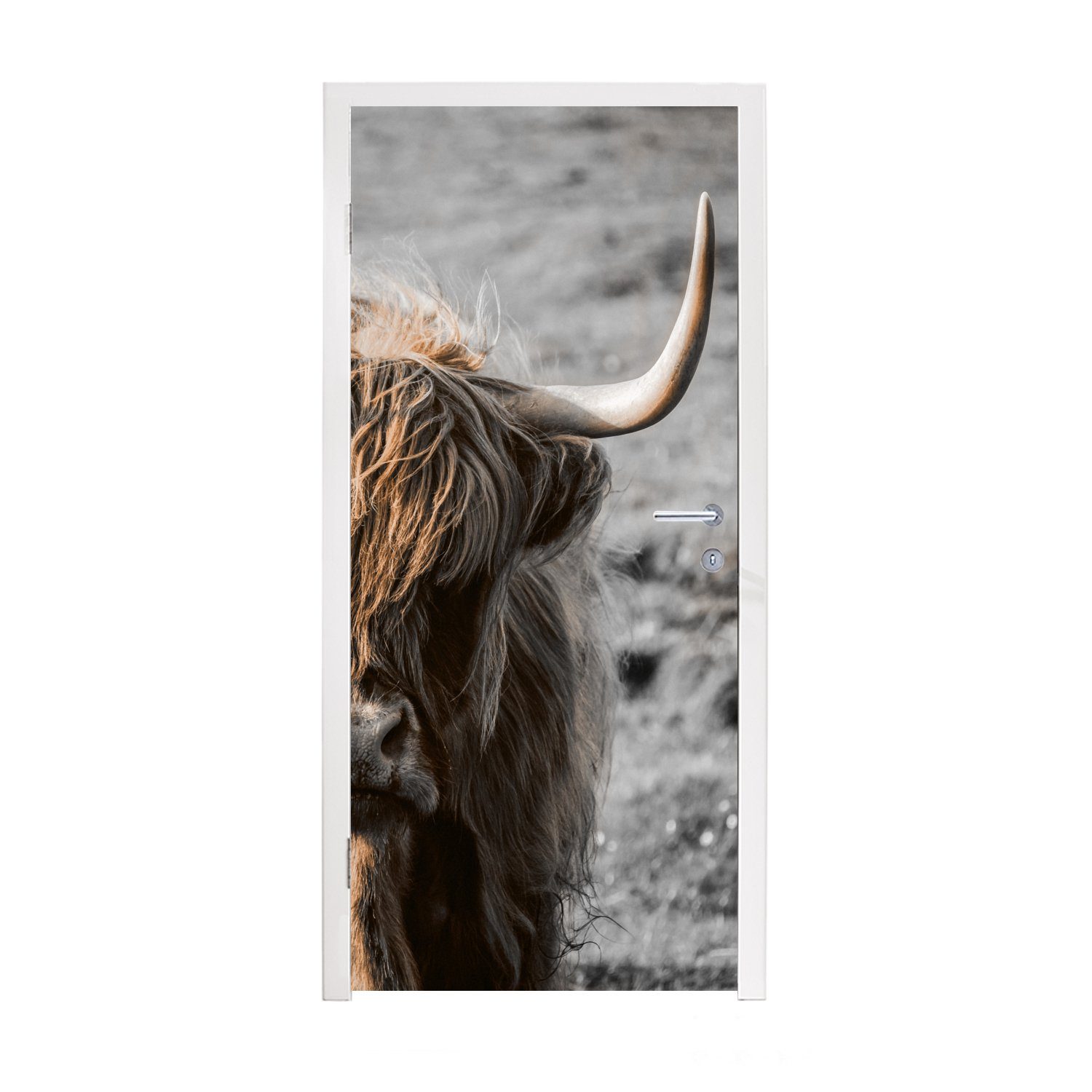 MuchoWow Türtapete Schottische Highlander - Kühe - Natur, Matt, bedruckt, (1 St), Fototapete für Tür, Türaufkleber, 75x205 cm