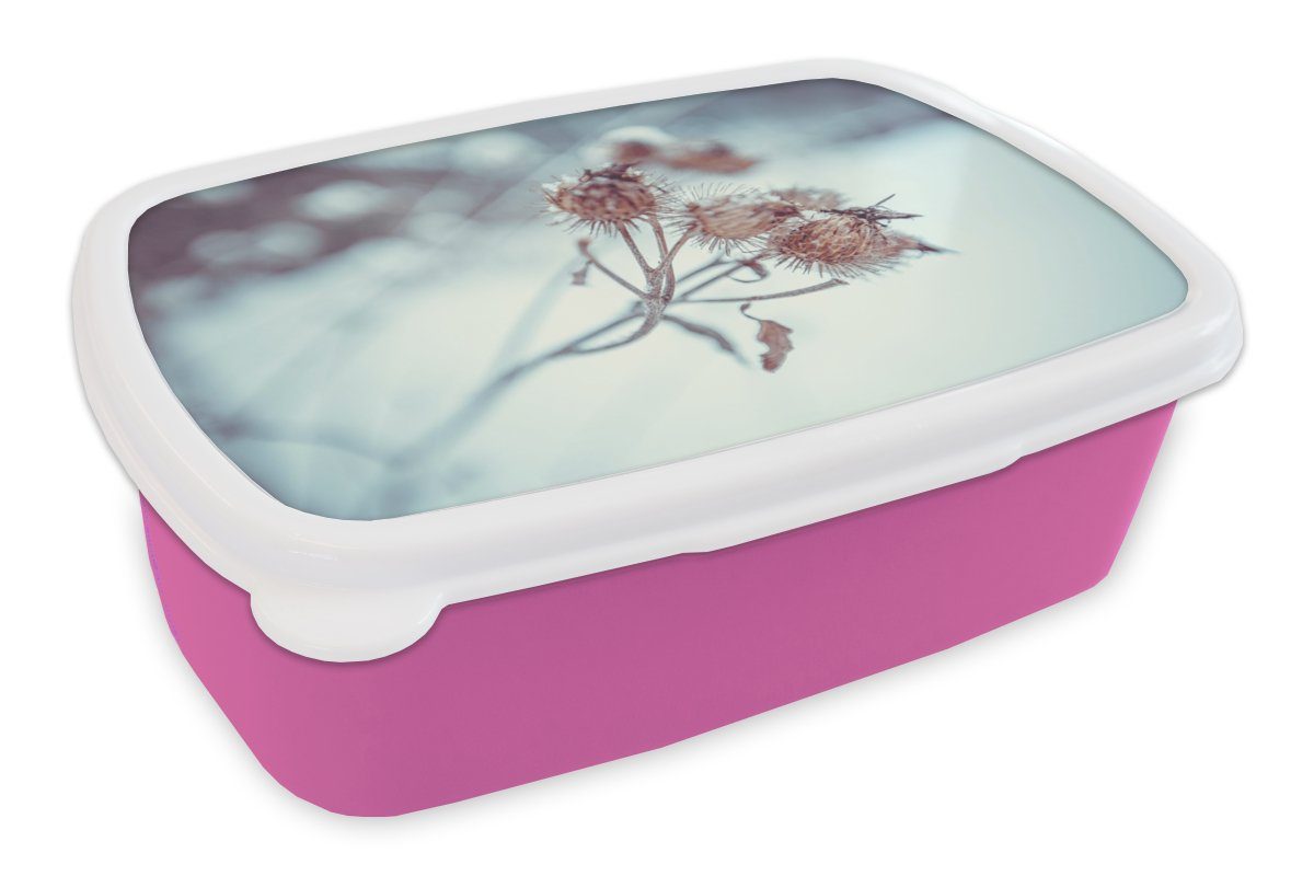 MuchoWow Lunchbox Pflanzen - Winter - Schnee - Natur, Kunststoff, (2-tlg), Brotbox für Erwachsene, Brotdose Kinder, Snackbox, Mädchen, Kunststoff rosa