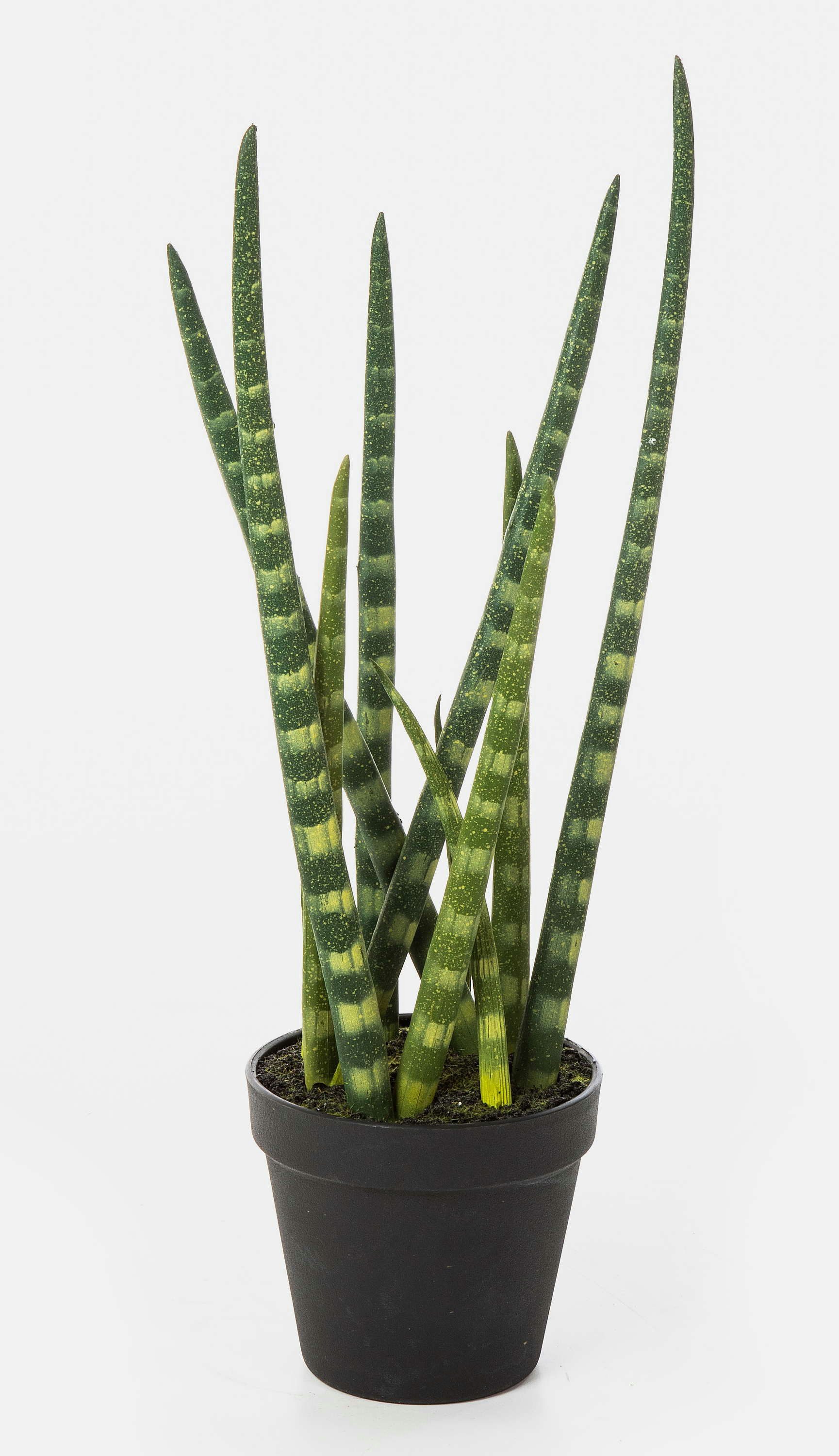 Kunstpflanze Künstliche Sansevieria Cylindrica AIDANA, grün-gelb, 40cm Bogenhanf (Sansevieria cylindrica), artplants, Höhe 40.0 cm