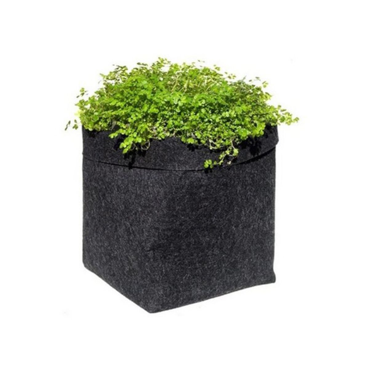 Gronest Europe Srl Pflanzkübel YBP Stofftopf – atmungsaktiver Pflanztopf (4 günstig online kaufen