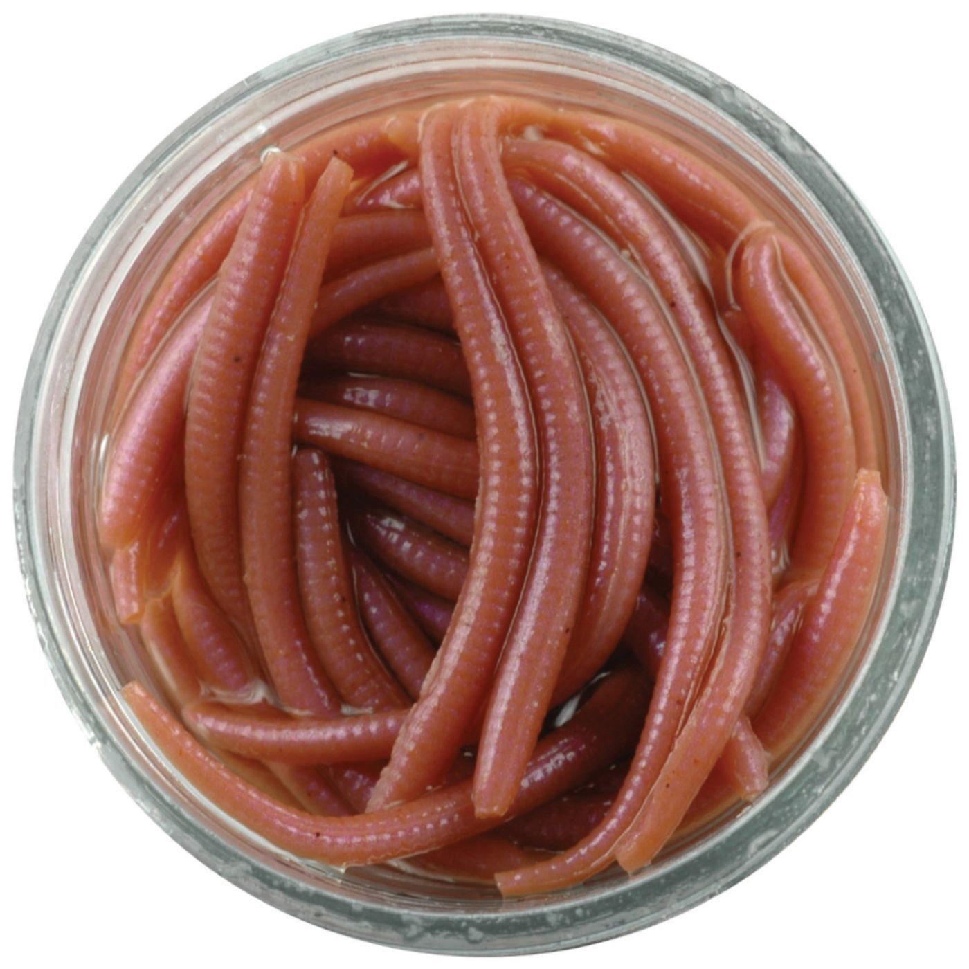 Kunstköder Berkley GULP! ALIVE!® ANGLE WORM -