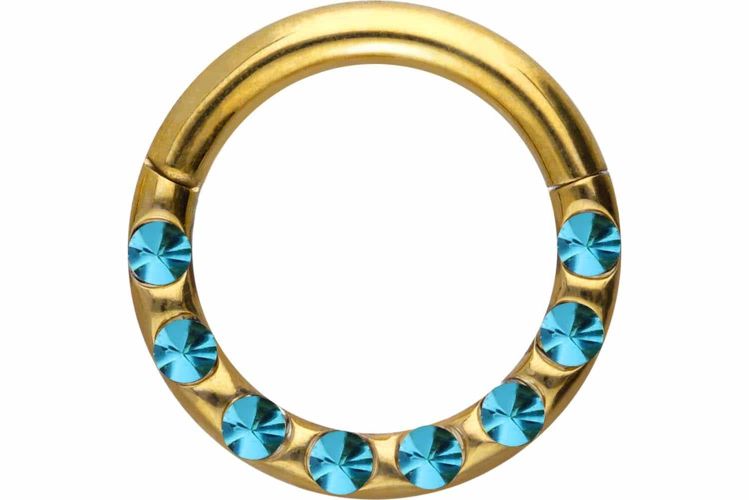 PIERCINGLINE Nasenpiercing Chirurgenstahl Segmentring Clicker KRISTALLE + E günstig online kaufen