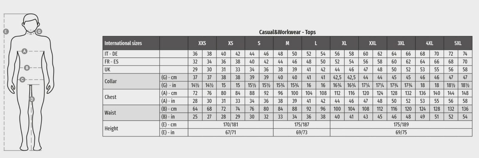 PAYPER T-Shirt PAYPER Herren T-Shirt V Kragen Basic Shirt Größe S bis 4XL in vielen Farben