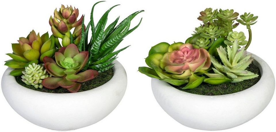 Künstliche Zimmerpflanze Sukkulentenarrangement Sukkulente, Creativ green,  Höhe 12 cm, im Zementtopf, 2er Set