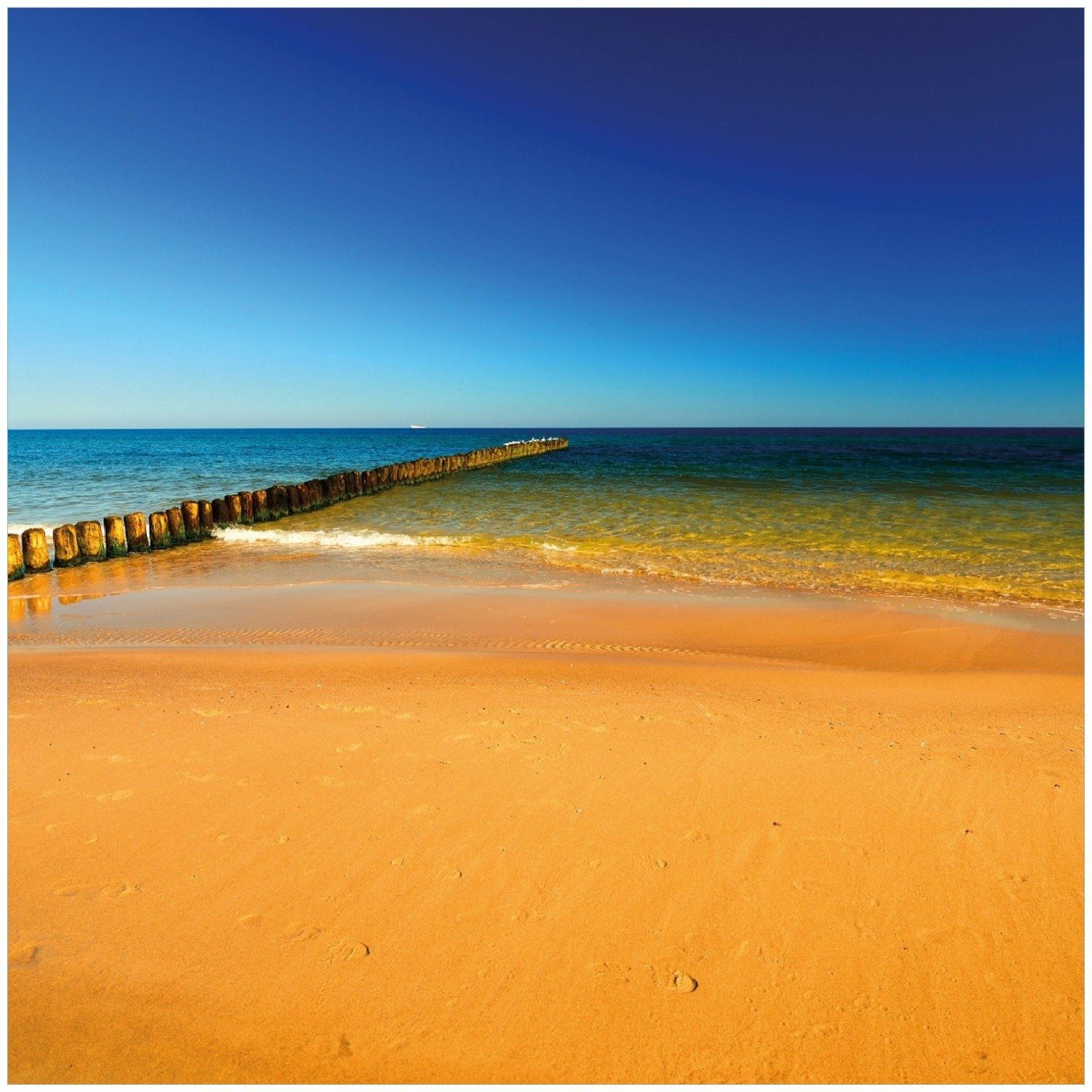 orange Wallario in Meer - - Sandstrand Blaues Blauer Himmel Memoboard