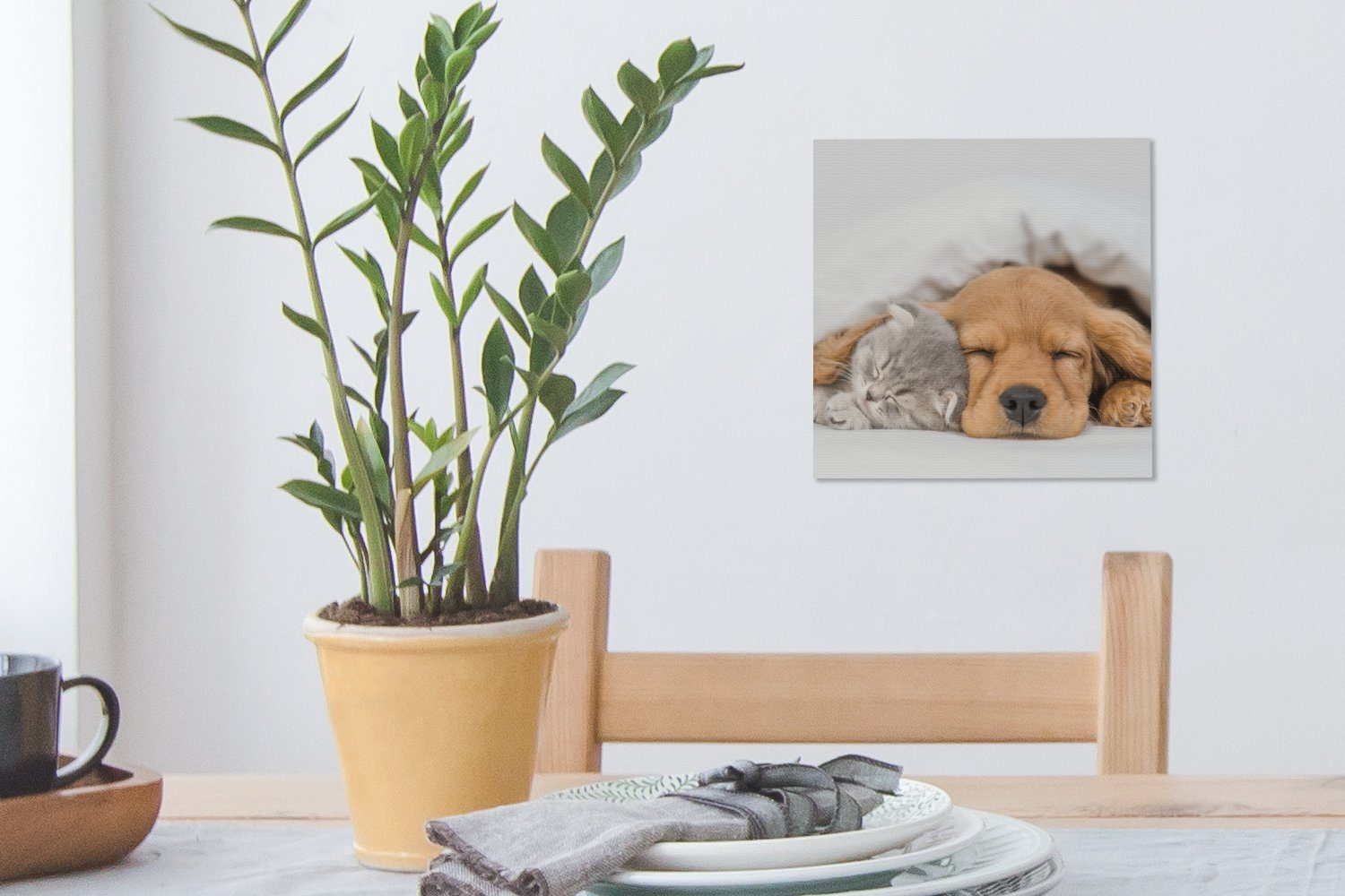 Haustiere - Katze Leinwand für - - Leinwandbild (1 OneMillionCanvasses® Decke, St), Wohnzimmer Schlafzimmer Bilder Hund