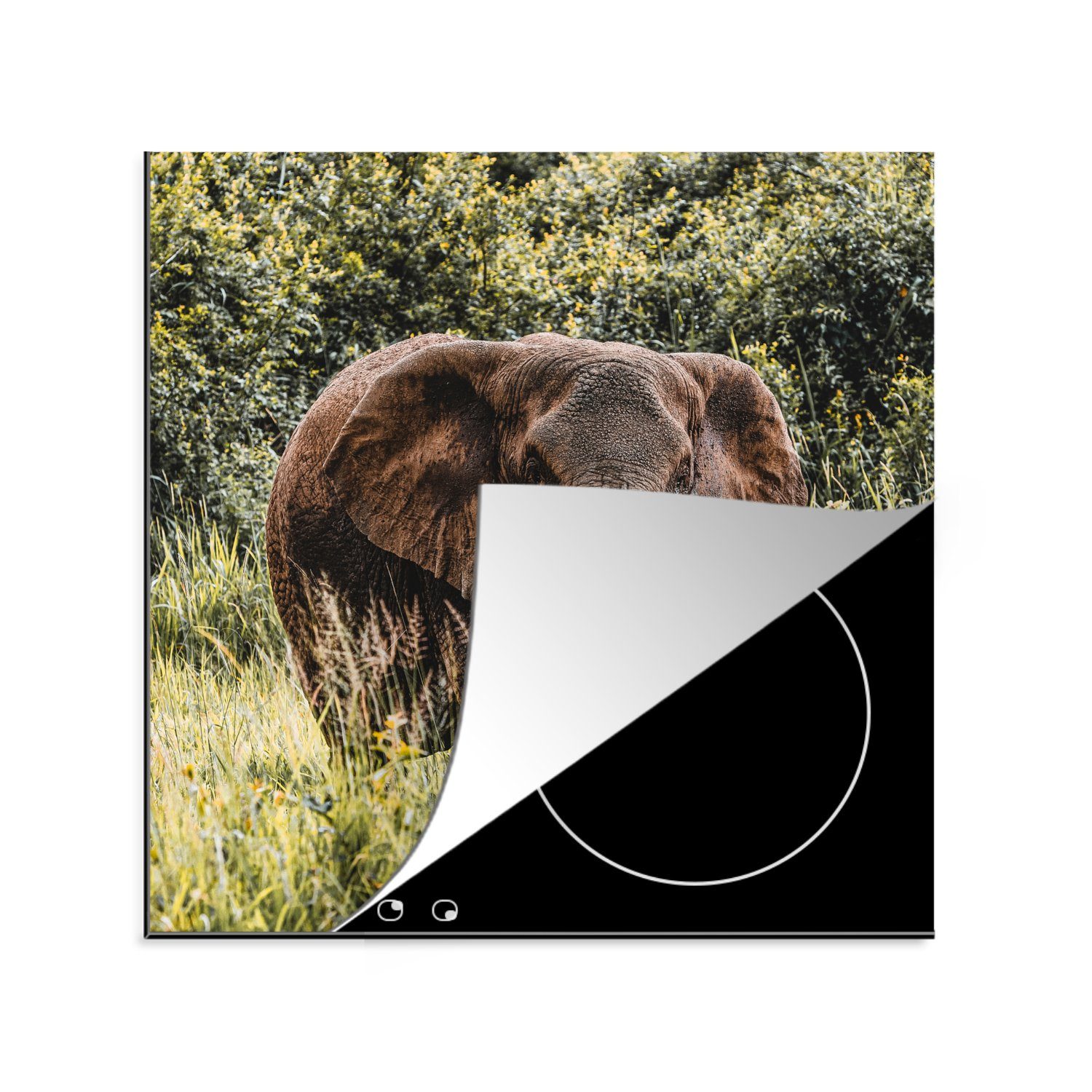 MuchoWow Herdblende-/Abdeckplatte Elefant - Gras - Natur, Vinyl, (1 tlg), 78x78 cm, Ceranfeldabdeckung, Arbeitsplatte für küche