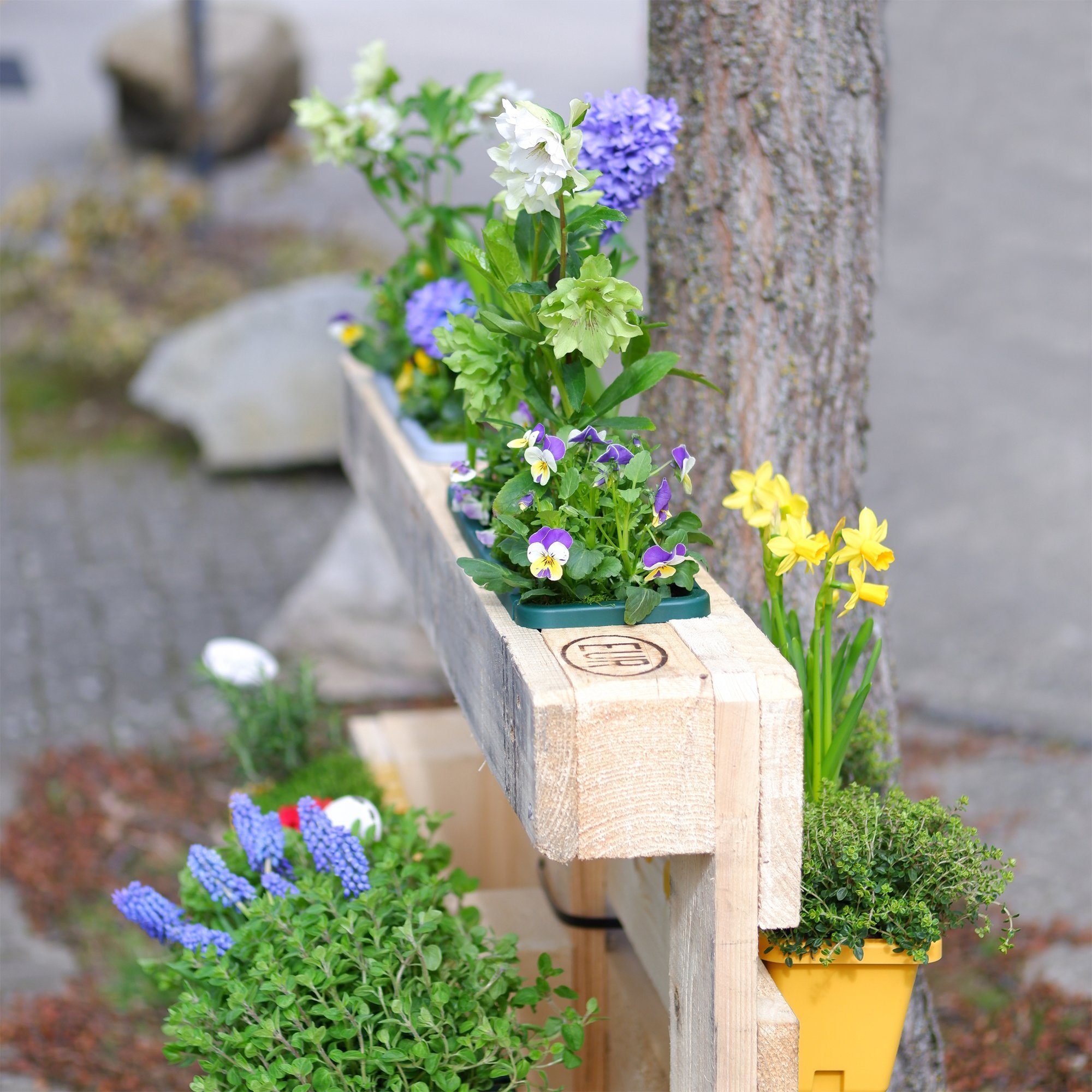 GREENLIFE® Blumenkasten GreenLife Blumenkasten komplett Kräuterbox integrierter 10 Stück, gelb, / Set), Zwischenboden (10er
