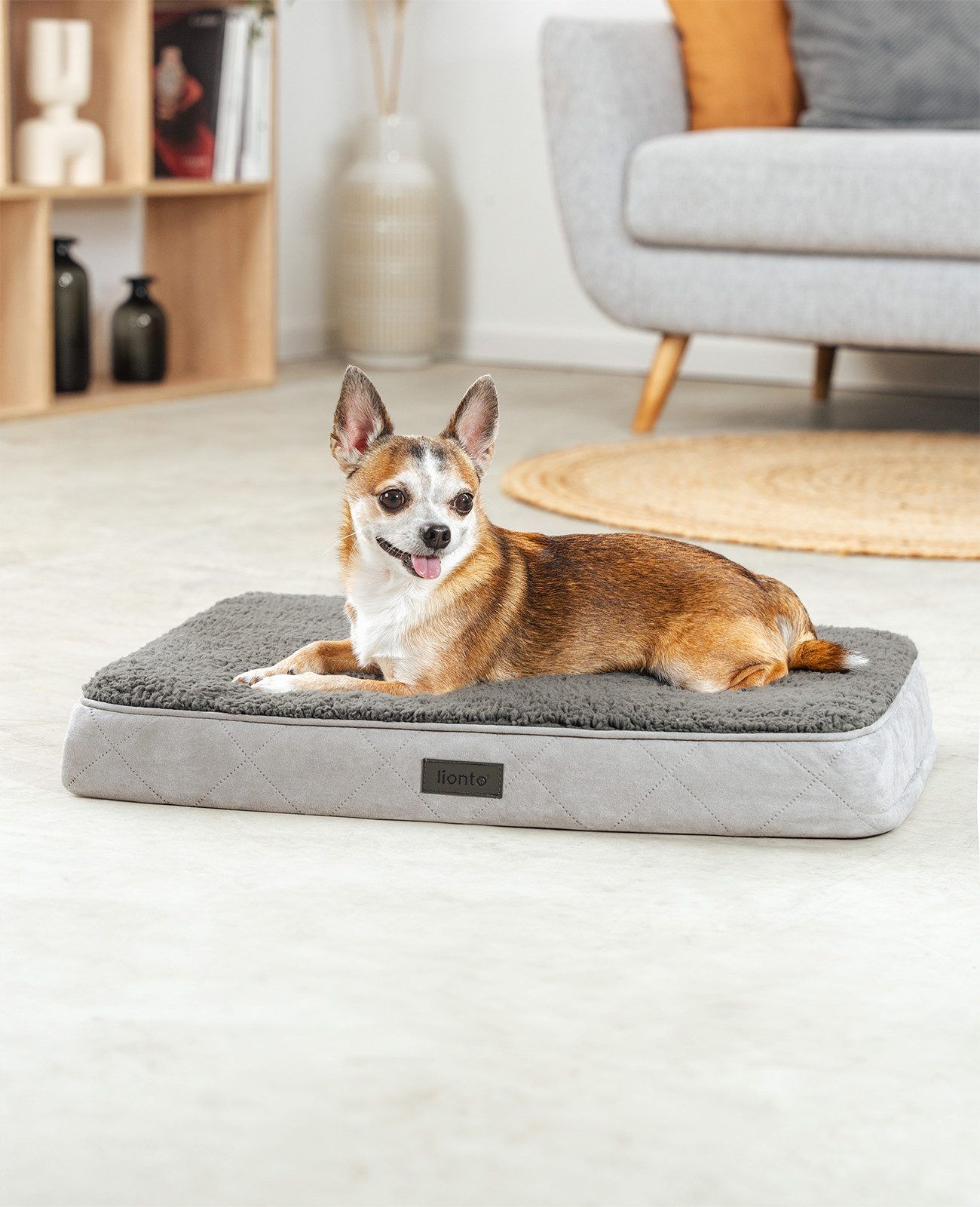 lionto Tierkissen lionto orthopädisches Hundebett, für günstig online kaufen