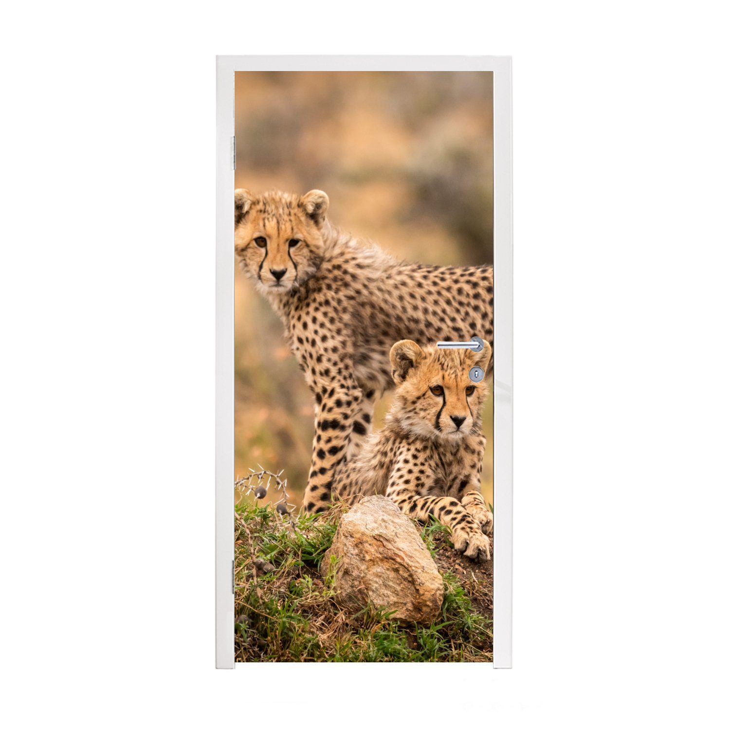 St), bedruckt, Leopard Natur, MuchoWow (1 cm Jungtier Tür, Türaufkleber, für Türtapete - Matt, 75x205 - Fototapete