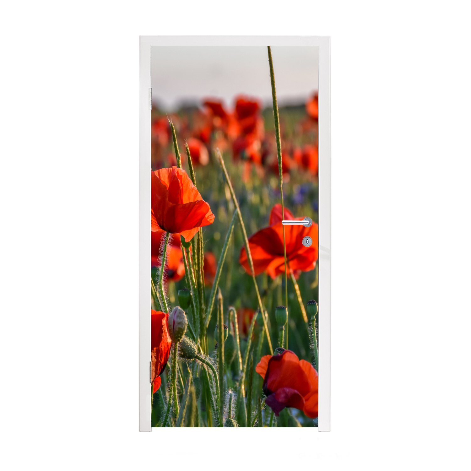 MuchoWow Türtapete Blumen - Mohnblumen - Natur - Rot, Matt, bedruckt, (1 St), Fototapete für Tür, Türaufkleber, 75x205 cm