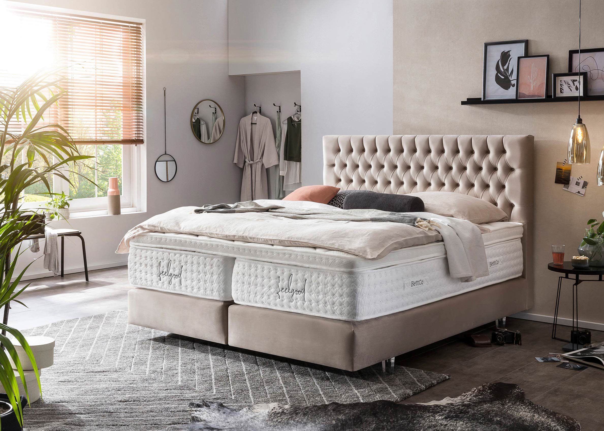 BettCo Boxspringbett Vegas (200 x 200 cm, 7-St., in Creme Velours), Chesterfield Design + optionaler Topper, Acryl-Füße Glas-Optik