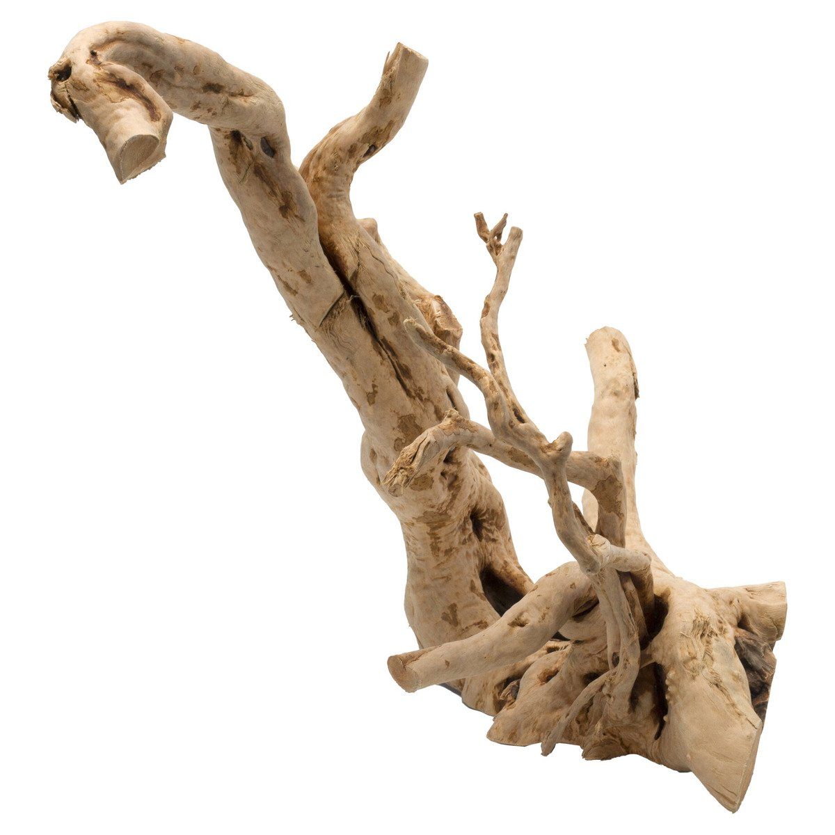 Europet-Bernina Aquariendeko Aquarium Dekoration Driftwood poliert braun