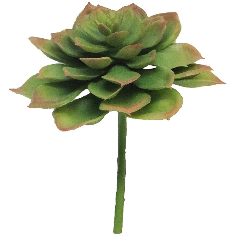 Kunstpflanze Exner Sukkulente ArtificialNature, grün, 17 cm, 248339, Exner günstig online kaufen