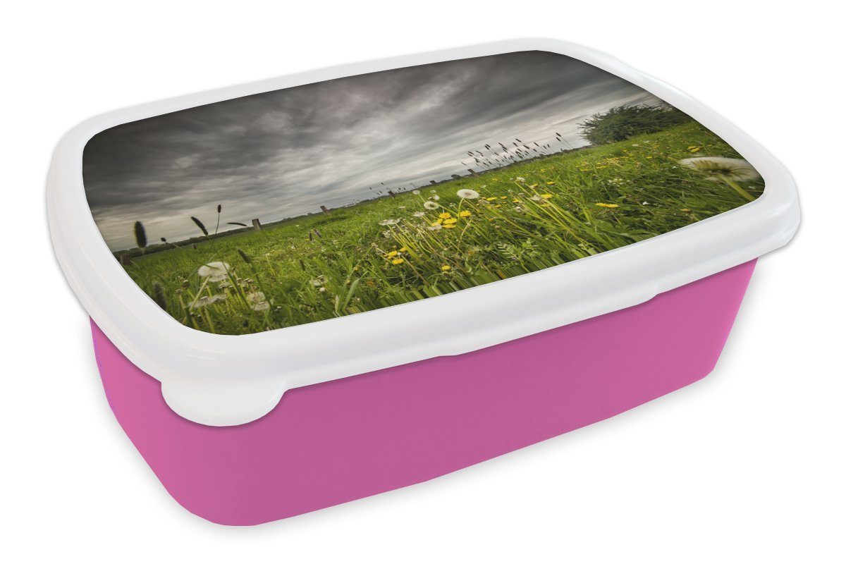 MuchoWow Lunchbox Wiese vor dem Sturm, Kunststoff, (2-tlg), Brotbox für Erwachsene, Brotdose Kinder, Snackbox, Mädchen, Kunststoff rosa