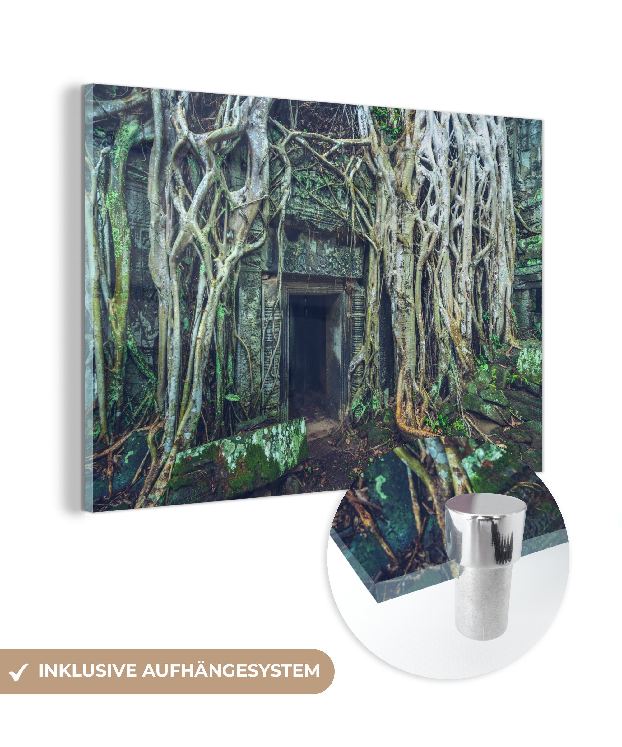 MuchoWow Acrylglasbild Überwachsener Tempel von Angkor wat, (1 St), Acrylglasbilder Wohnzimmer & Schlafzimmer