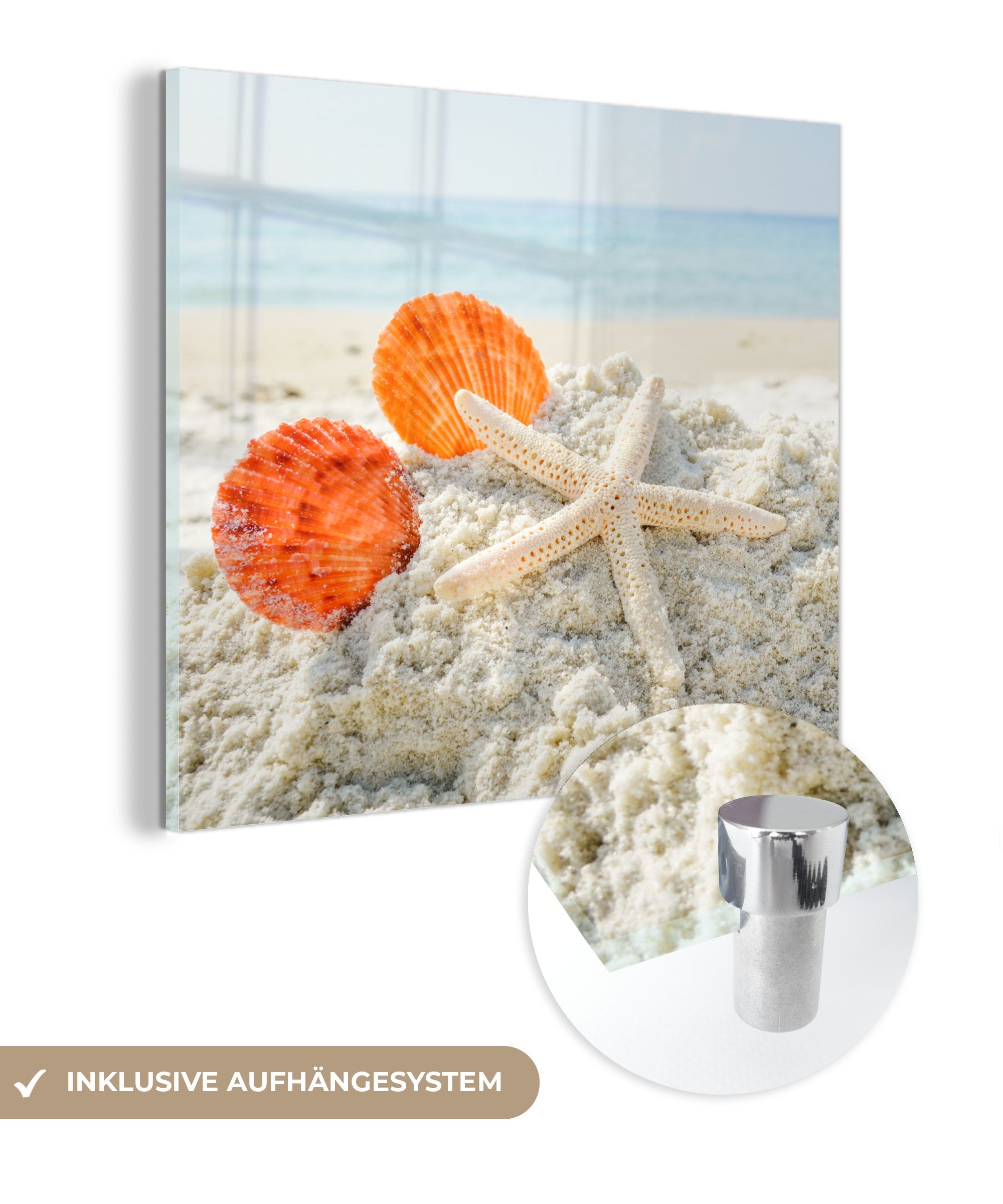 MuchoWow Acrylglasbild Muscheln - Seesterne - Sand, (1 St), Glasbilder - Bilder auf Glas Wandbild - Foto auf Glas - Wanddekoration