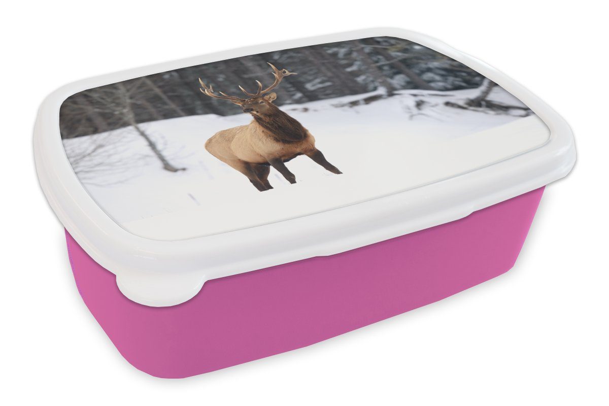 MuchoWow Lunchbox Rotwild - Schnee - Winter, Kunststoff, (2-tlg), Brotbox für Erwachsene, Brotdose Kinder, Snackbox, Mädchen, Kunststoff rosa