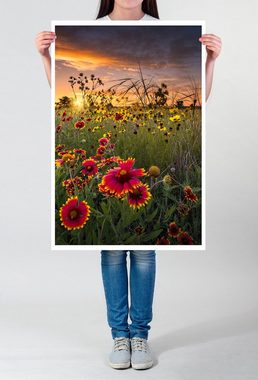 Sinus Art Poster 90x60cm Poster Blumewiese bei Sonnenuntergang