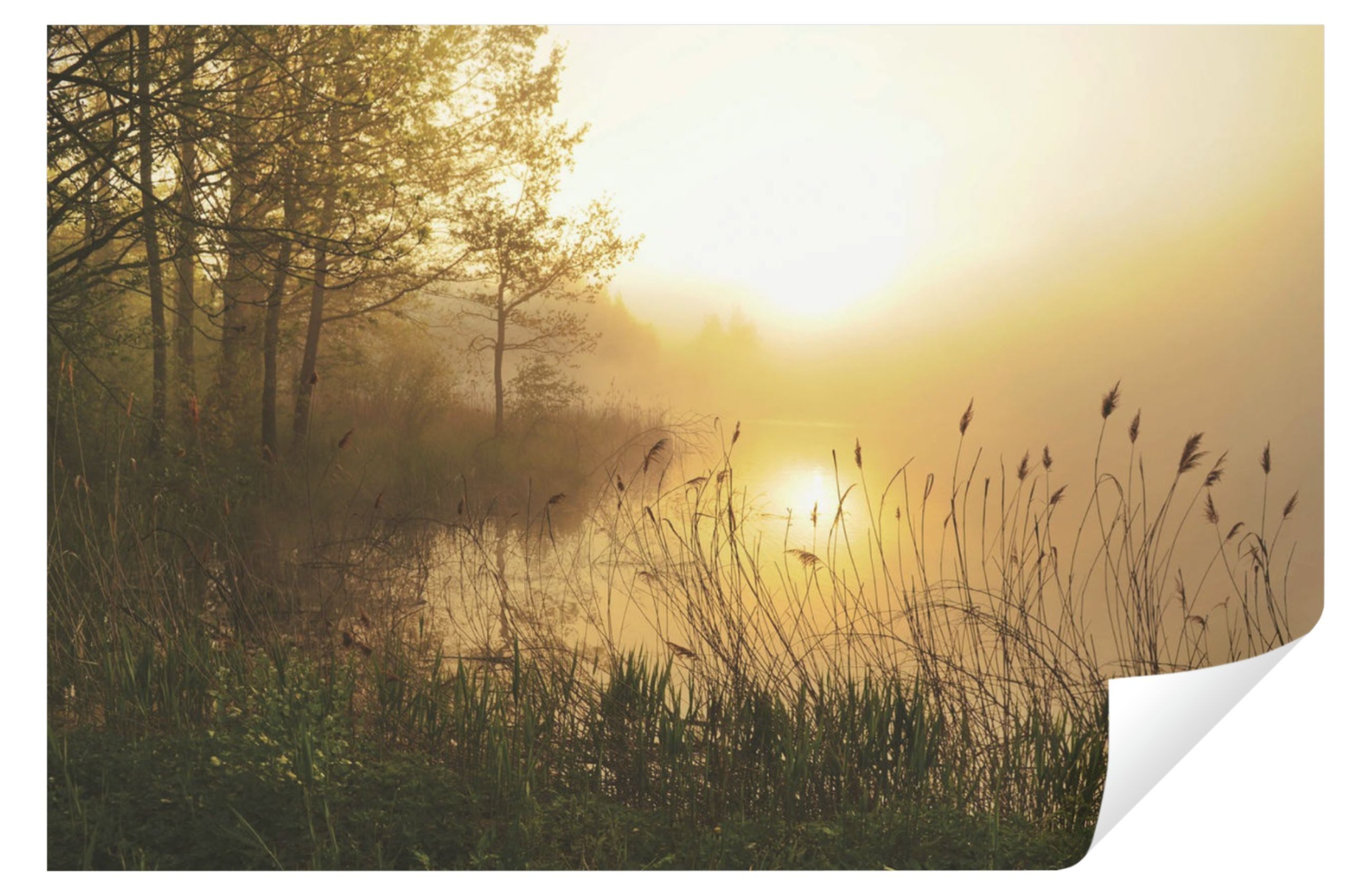 Wallarena Fototapete See Natur Sonne Vlies Tapete Wohnzimmer Schlafzimmer Wandtapete, Glatt, Strand, Tapete inklusive Kleister Vliestapete Motivtapete