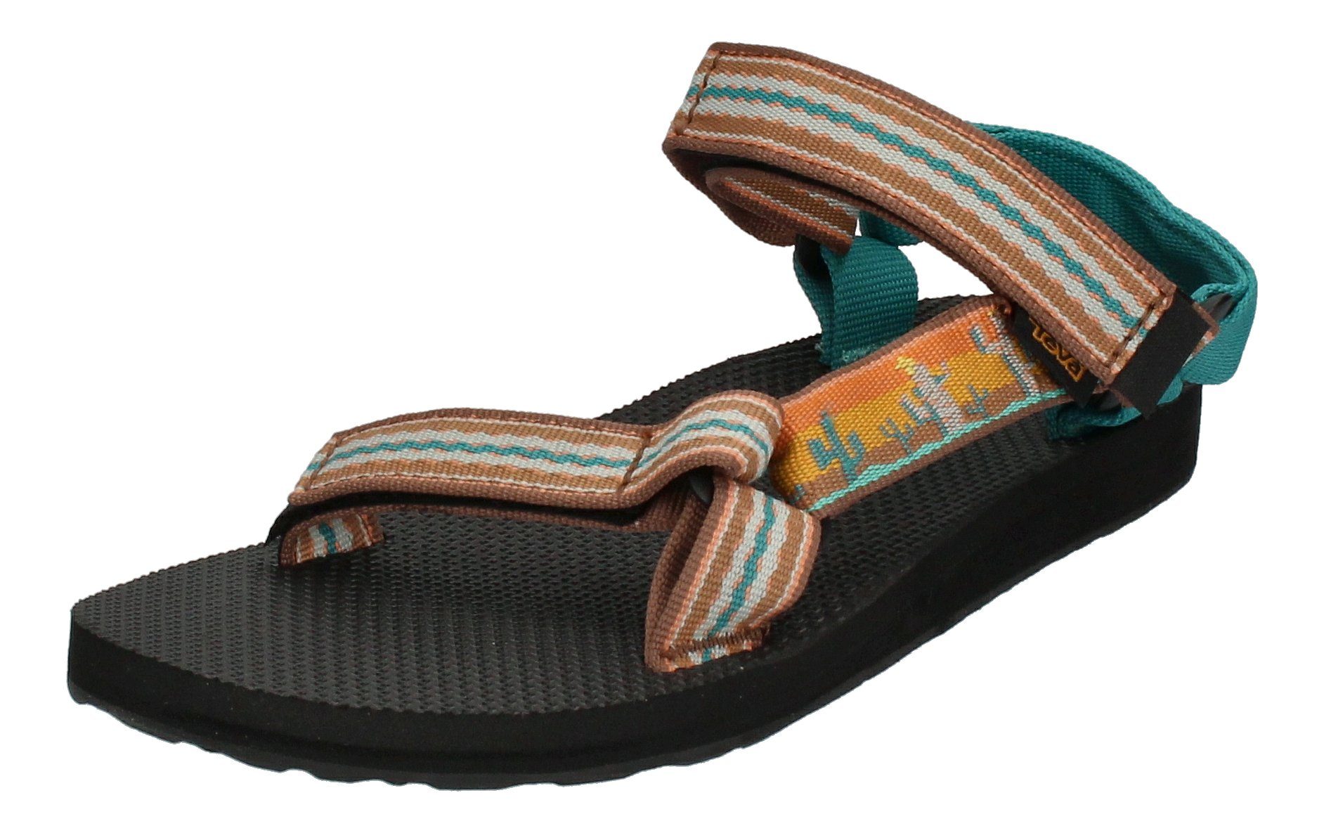 teva cactus