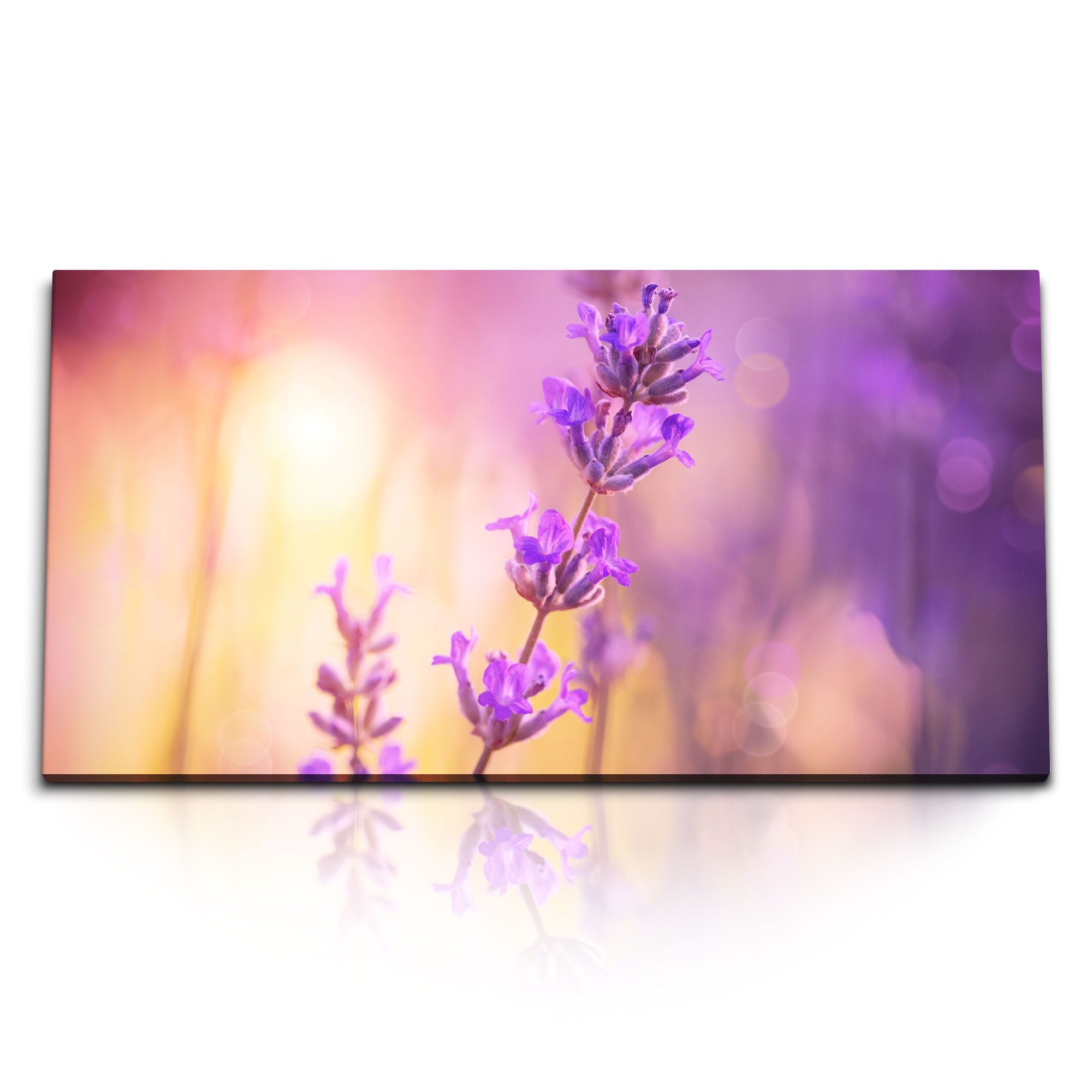 Leinwandbild Kunstdruck Bilder 120x60cm Lavendel Blumen Violett Lila Fotokunst Sonn